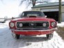 1968 Ford R code 428 CJ Mustang GT Convertible