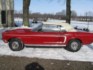1968 Ford R code 428 CJ Mustang GT Convertible